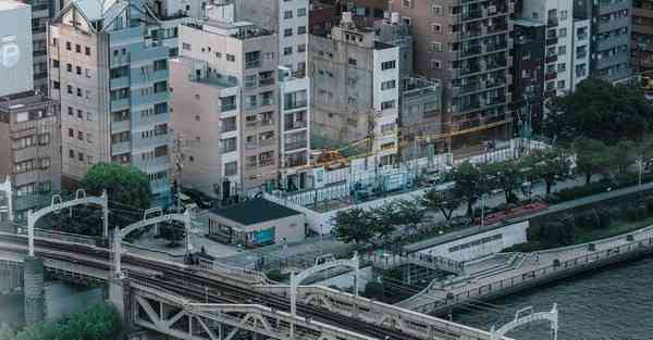 圣象柞木实木复合地板